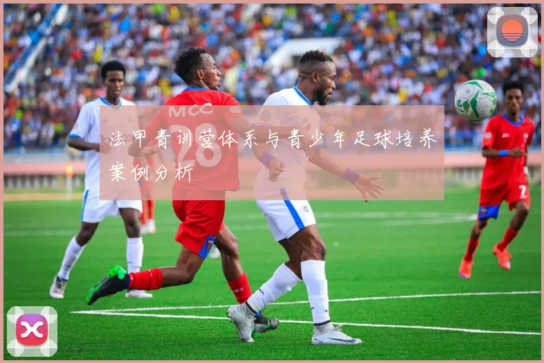 法甲青训营体系与青少年足球培养案例分析